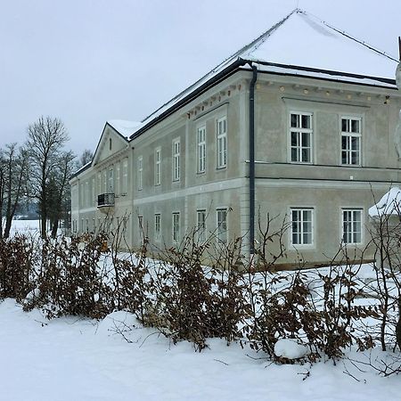 Zamek Dobrohor公寓式酒店 外观 照片